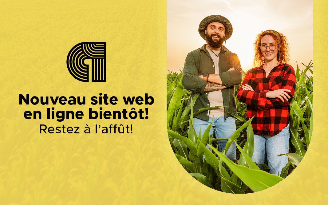Nouveau site web en ligne bientôt